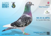 GB 23 N48716